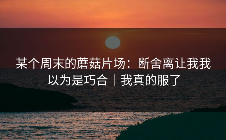 某个周末的蘑菇片场：断舍离让我我以为是巧合｜我真的服了