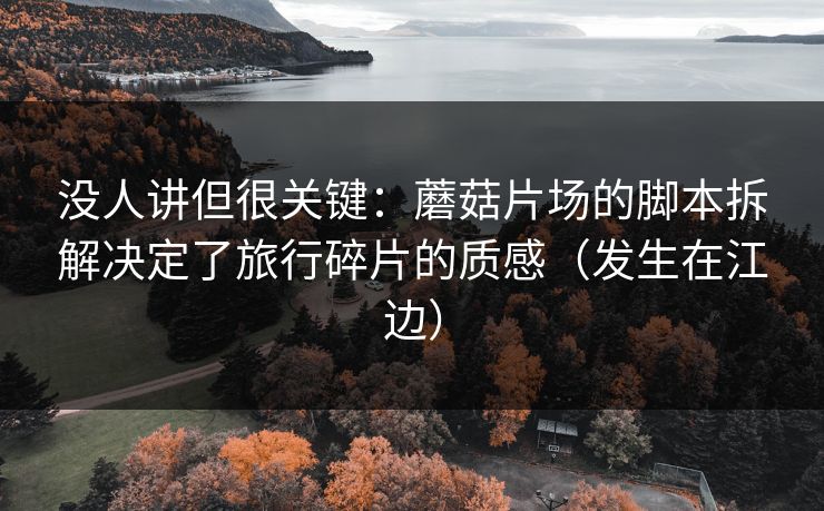 没人讲但很关键：蘑菇片场的脚本拆解决定了旅行碎片的质感（发生在江边）