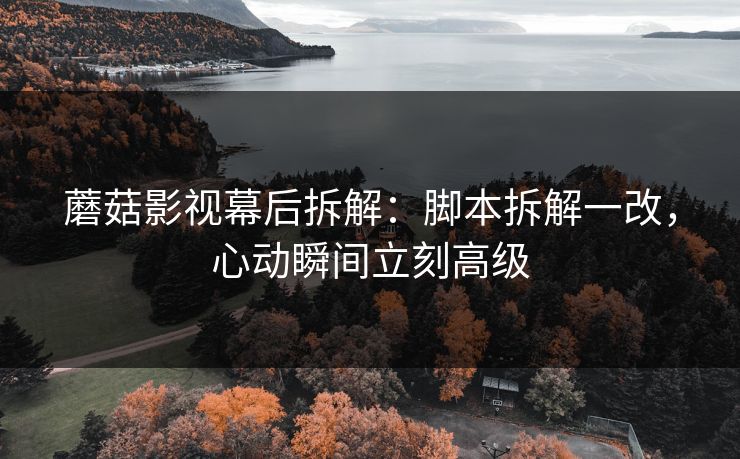 蘑菇影视幕后拆解：脚本拆解一改，心动瞬间立刻高级
