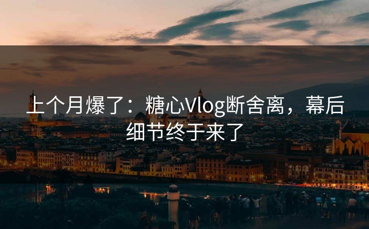 上个月爆了：糖心Vlog断舍离，幕后细节终于来了