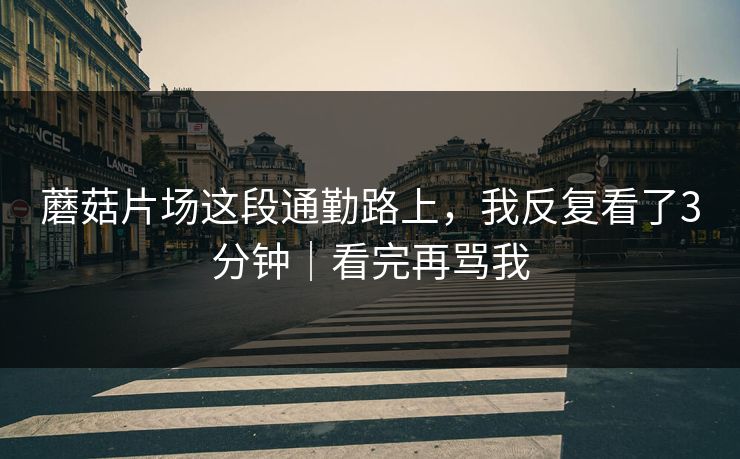蘑菇片场这段通勤路上，我反复看了3分钟｜看完再骂我