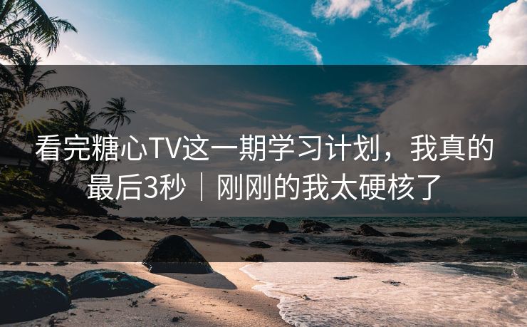 看完糖心TV这一期学习计划，我真的最后3秒｜刚刚的我太硬核了