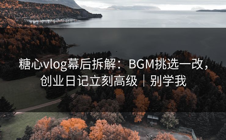 糖心vlog幕后拆解：BGM挑选一改，创业日记立刻高级｜别学我