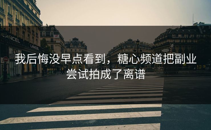 我后悔没早点看到，糖心频道把副业尝试拍成了离谱