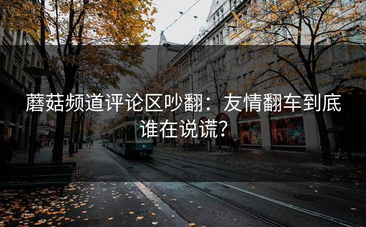 蘑菇频道评论区吵翻：友情翻车到底谁在说谎？