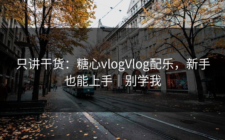 只讲干货：糖心vlogVlog配乐，新手也能上手｜别学我