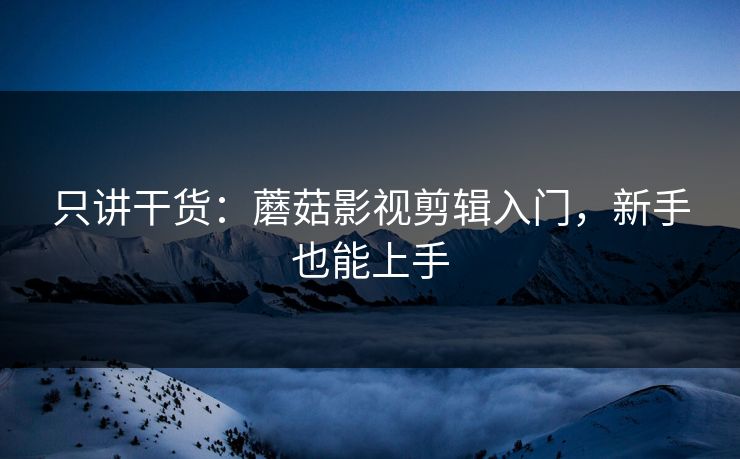 只讲干货：蘑菇影视剪辑入门，新手也能上手