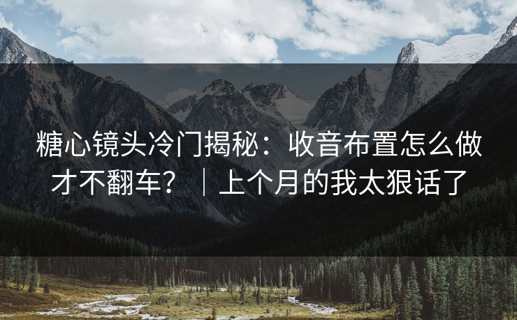 糖心镜头冷门揭秘：收音布置怎么做才不翻车？｜上个月的我太狠话了