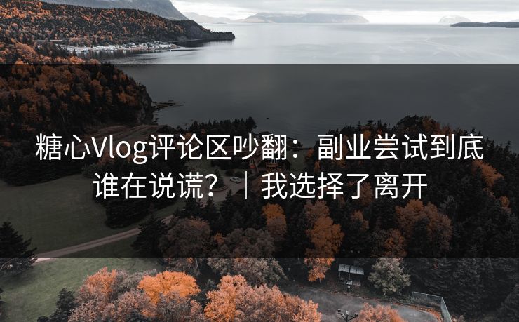 糖心Vlog评论区吵翻：副业尝试到底谁在说谎？｜我选择了离开